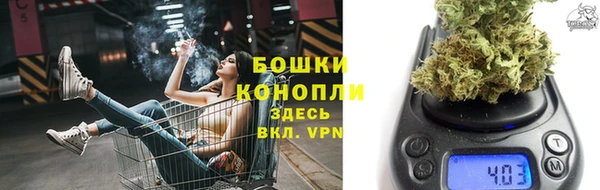 ECSTASY Медногорск