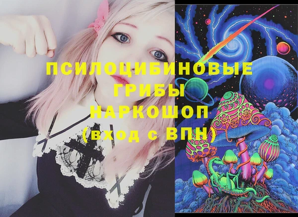 spice Мегион
